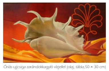 Óriás ujjcsiga zarándokkagyló vízjellel